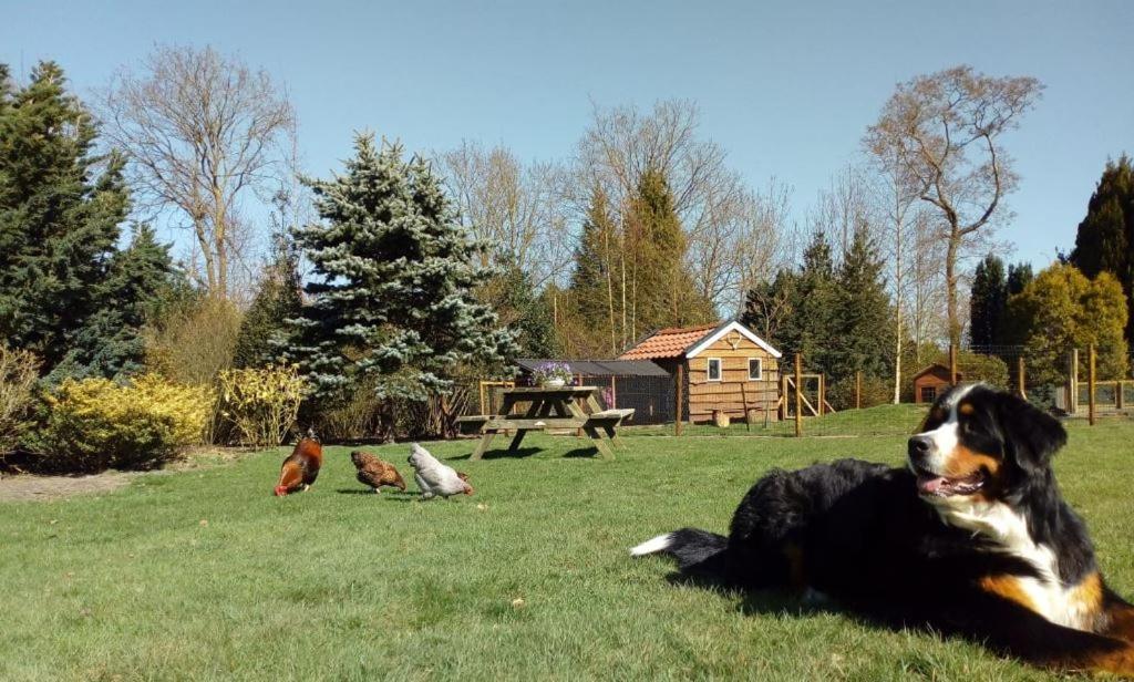 B&B De Flecht - De Ljip Nijega Exteriör bild