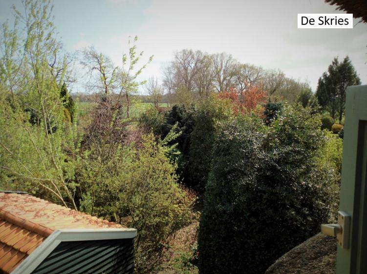 B&B De Flecht - De Ljip Nijega Exteriör bild